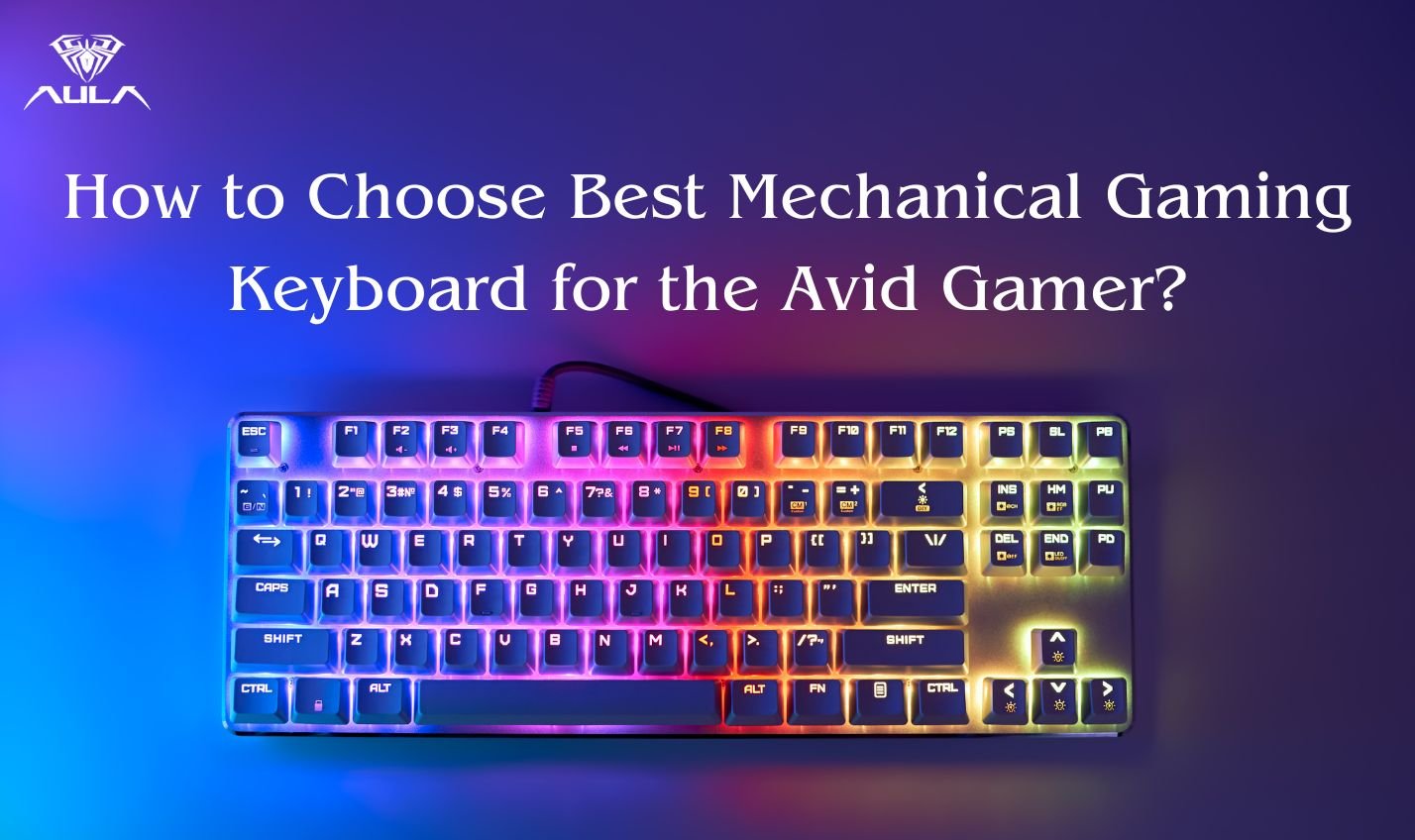 How to Choose the Best Mechanical Gaming Keyboard for the Avid Gamer?