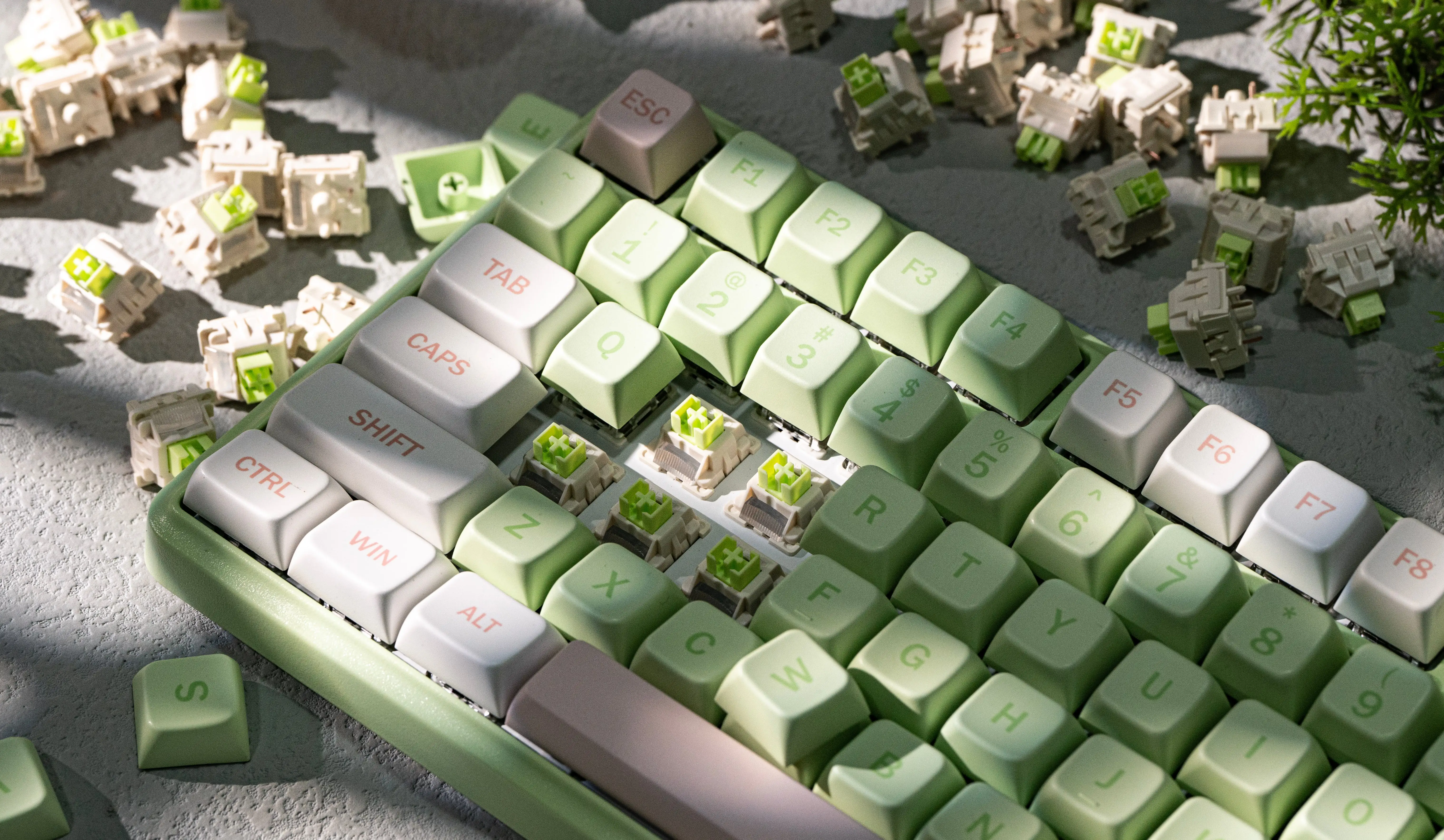 reaper green switch